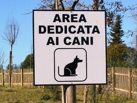 Area cani