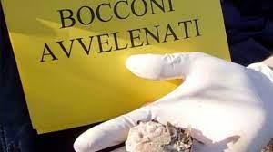 Bocconi avvelenati
