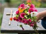 Servizi cimiteriali - Estumulazione ed Esumazione