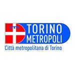 Elezioni