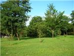 area verde