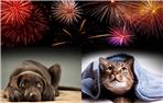 Capodanno